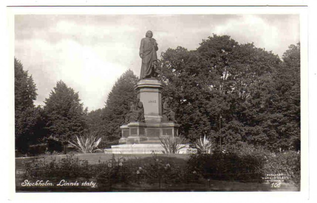 106   Stockholm. Linnés staty.