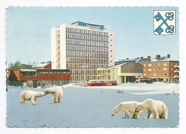 LULEÅ - Stadshuset i vinterskrud med isbjörnar