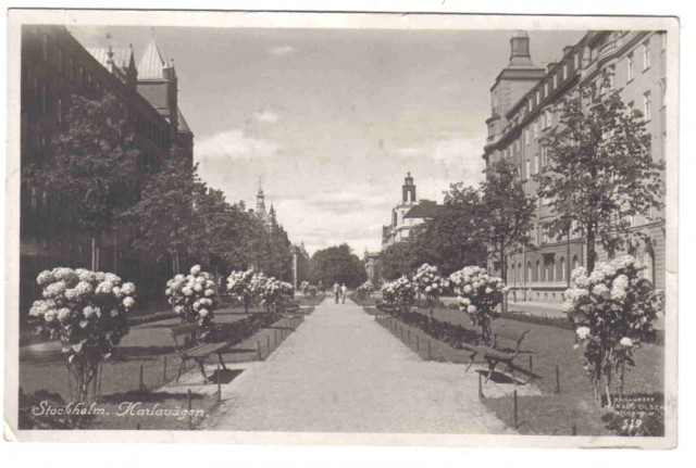 319   Stockholm. Karlavägen.
